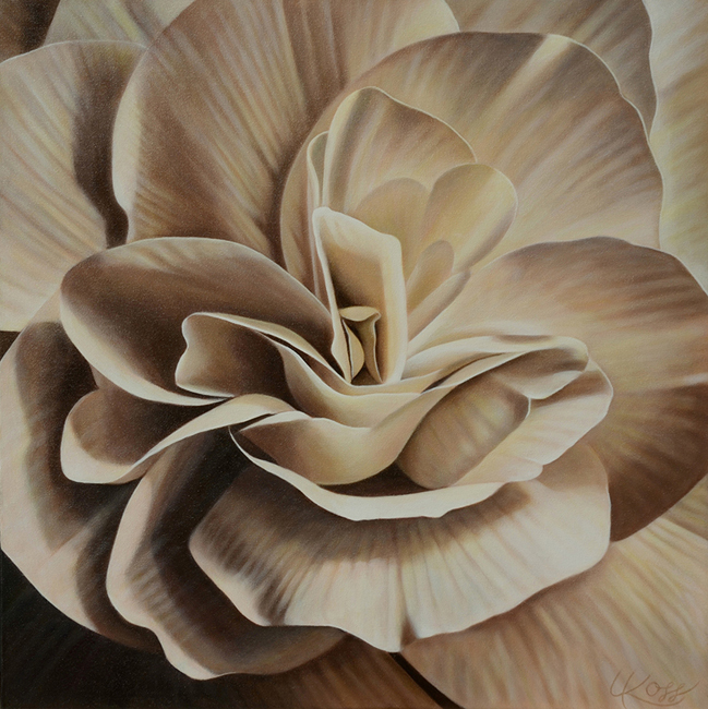 Begonia 9 | 24x24 acrylic on canvas by Canadian Artist, Laurie Koss who is known for her big flower (macro floral) paintings in neutral tones.