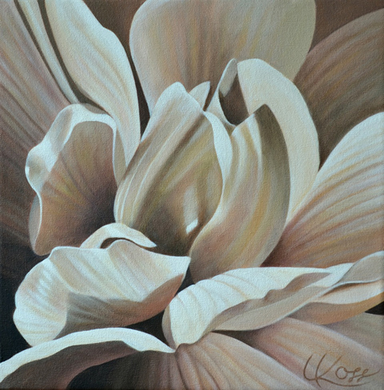 Begonia 17 | 14x14 acrylic on canvas by Canadian Artist, Laurie Koss who is known for her big flower (macro floral) paintings in neutral tones.