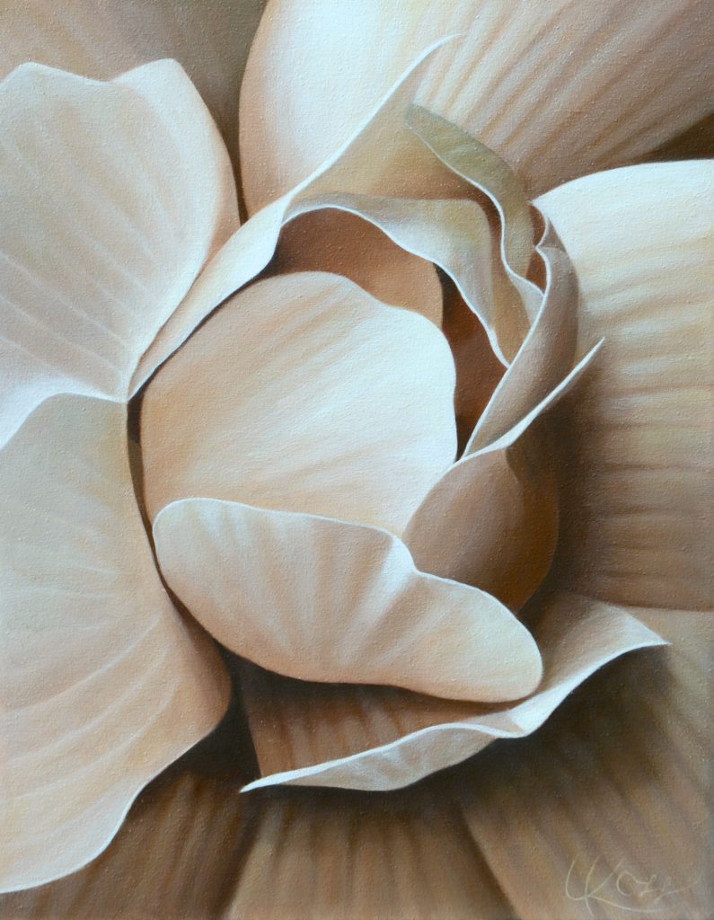 Begonia 12 | 18x14 acrylic on canvas by Canadian Artist, Laurie Koss who is known for her big flower (macro floral) paintings.
