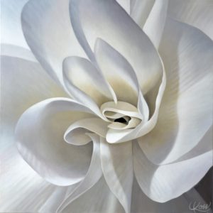 Begonia 20 | 24x24 acrylic on canvas by Canadian Artist, Laurie Koss who is known for her big flower (macro floral) paintings.