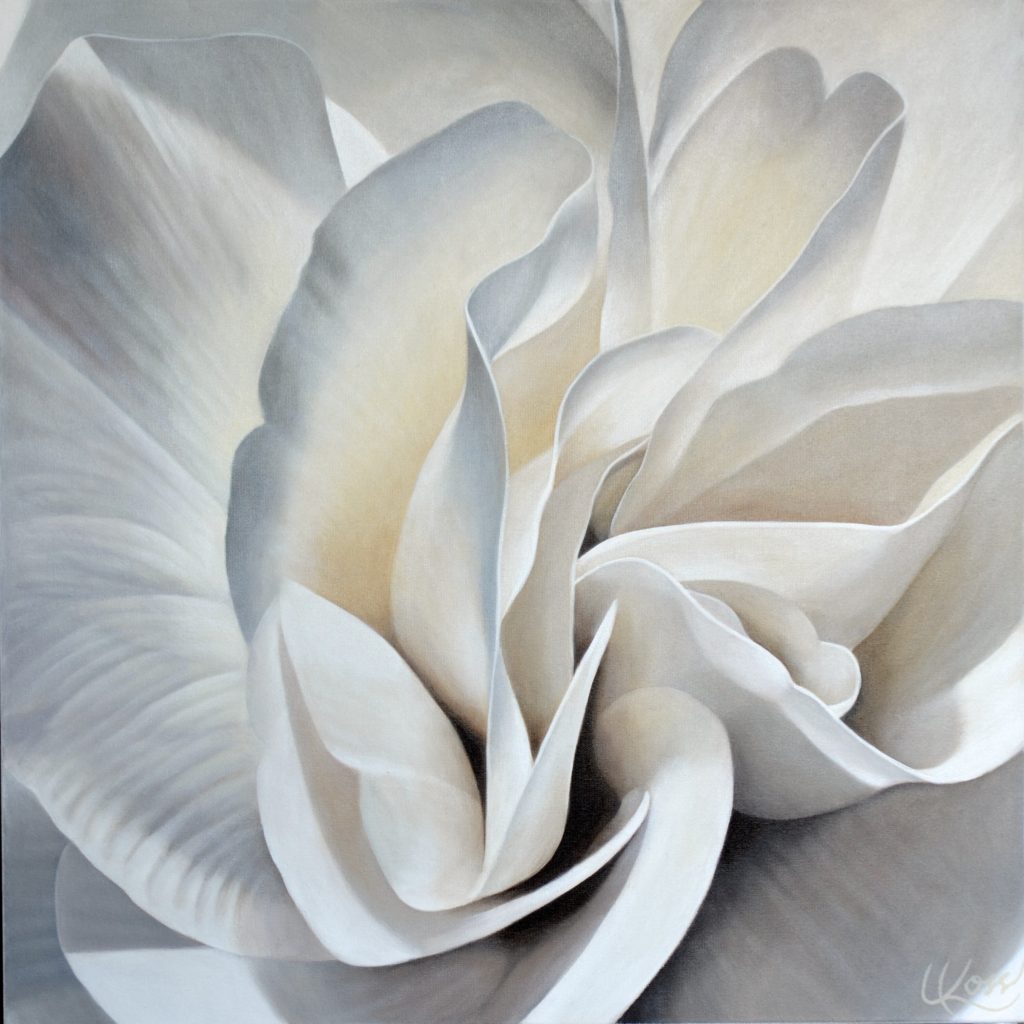 Begonia 21 | 24x24 acrylic on canvas by Canadian Artist, Laurie Koss who is known for her big flower (macro floral) paintings.