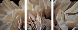 Carnation 16 | 20x48 triptych acrylic on canvas by Canadian Artist, Laurie Koss who is known for her big flower (macro floral) paintings in neutral tones.