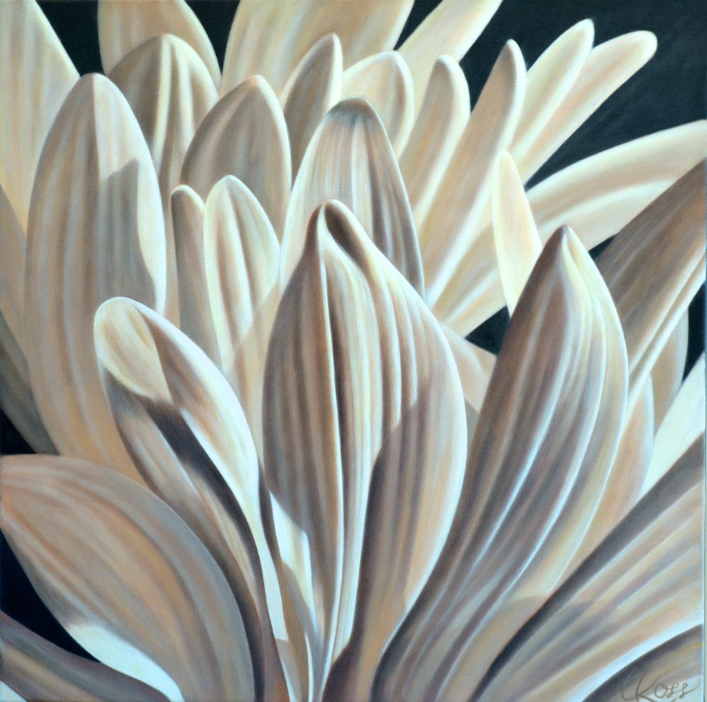 Mum 11 | 24x24 acrylic on canvas by Canadian Artist, Laurie Koss who is known for her big flower (macro floral) paintings in neutral tones.