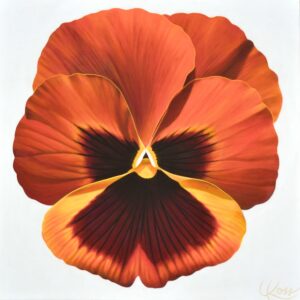 Pansy 15 | 24x24 acrylic on canvas by Canadian Artist, Laurie Koss who is known for her big flower (macro floral) paintings and her Pansy Stamps.