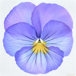 Pansy 16 | 24x24 acrylic on canvas by Canadian Artist, Laurie Koss who is known for her big flower (macro floral) paintings and her Pansy Stamps.