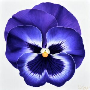 Pansy 18 | 24x24 acrylic on canvas by Canadian Artist, Laurie Koss who is known for her big flower (macro floral) paintings and her Pansy Stamps.
