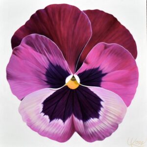 Pansy 20 | 24x24 | acrylic on canvas by Canadian Artist, Laurie Koss who is known for her big flower (macro floral) paintings and her Pansy Stamps.
