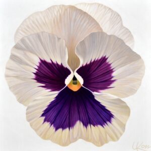Pansy 21 | 24x24 acrylic on canvas by Canadian Artist, Laurie Koss who is known for her big flower (macro floral) paintings and her Pansy Stamps.