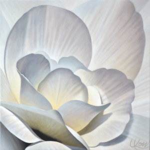 Begonia 25 | 18x18 acrylic on canvas by Canadian Artist, Laurie Koss who is known for her big flower (macro floral) paintings.