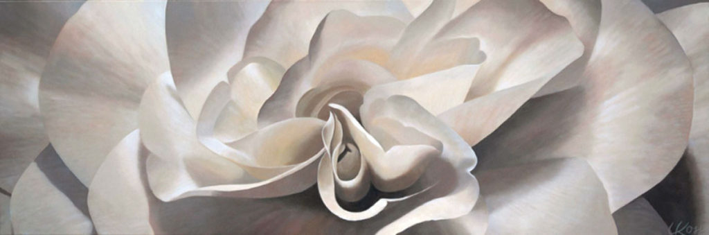 Begonia 3 | 20x60 acrylic on canvas by Canadian Artist, Laurie Koss who is known for her big flower (macro floral) paintings in neutral tones.