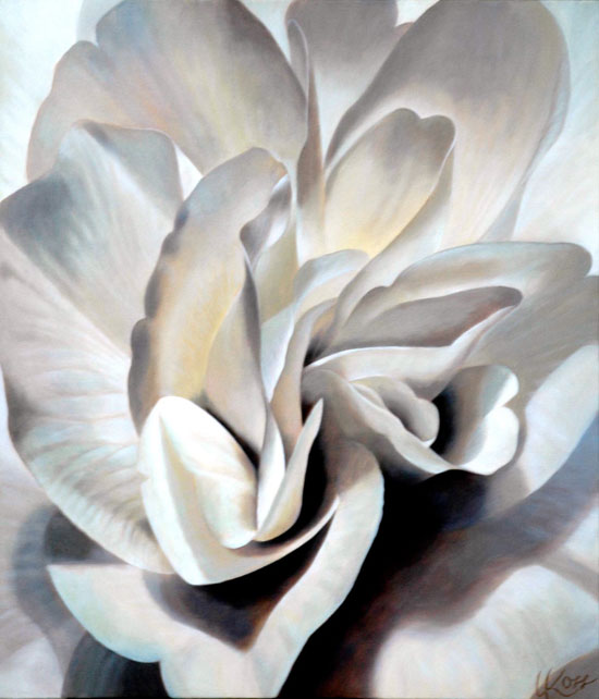 Begonia 6 | 30x26 acrylic on canvas by Canadian Artist, Laurie Koss who is known for her big flower (macro floral) paintings in neutral tones.