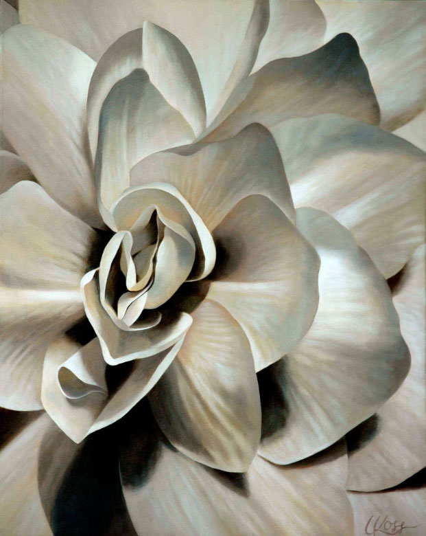 Begonia 7 | 30x24 acrylic on canvas by Canadian Artist, Laurie Koss who is known for her big flower (macro floral) paintings in neutral tones.