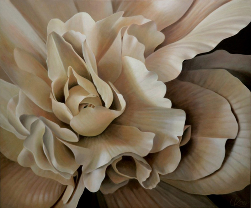 Begonia 8 | 30x36 acrylic on canvas by Canadian Artist, Laurie Koss who is known for her big flower (macro floral) paintings in neutral tones.