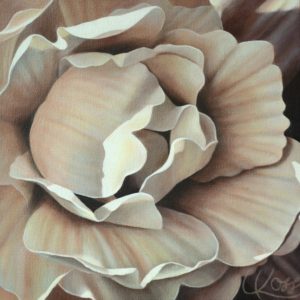 Begonia 18 | 12x12 acrylic on canvas by Canadian Artist, Laurie Koss who is known for her big flower (macro floral) paintings in neutral tones.
