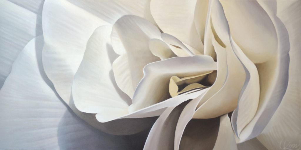 Begonia 24 | 24x48 acrylic on canvas by Canadian Artist, Laurie Koss who is known for her big flower (macro floral) paintings.