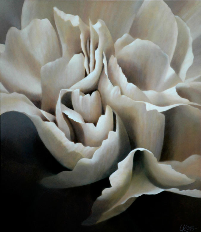 Carnation 7 | 30x26 acrylic on canvas by Canadian Artist, Laurie Koss who is known for her big flower (macro floral) paintings in neutral tones.