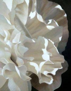 Carnation 8 | 22x18 acrylic on canvas by Canadian Artist, Laurie Koss who is known for her big flower (macro floral) paintings in neutral tones.