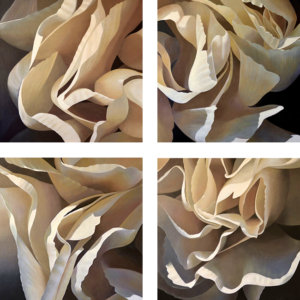 Carnation 12 | Quadtych acrylic on canvas by Canadian Artist, Laurie Koss who is known for her big flower (macro floral) paintings in neutral tones.