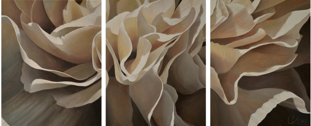 Carnation 21 | 20x48 triptych acrylic on canvas by Canadian Artist, Laurie Koss who is known for her big flower (macro floral) paintings in neutral tones.