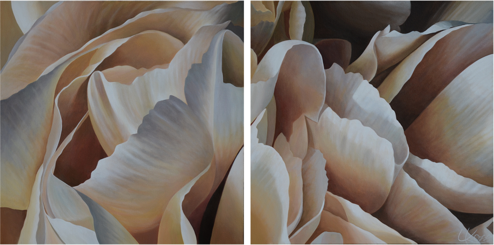 Carnation 22 | 24x48 diptych acrylic on canvas by Canadian Artist, Laurie Koss who is known for her big flower (macro floral) paintings in neutral tones.