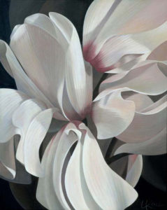 Cyclamen 1 | 30x24 acrylic on canvas by Canadian Artist, Laurie Koss who is known for her big flower (macro floral) paintings in neutral tones.