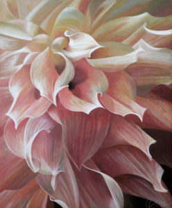 Dahlia 1 | 24x20 acrylic on canvas by Canadian Artist, Laurie Koss who is known for her big flower (macro floral) paintings in neutral tones.
