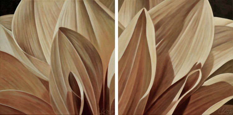 Dahlia 5 | 12x24 diptych acrylic on canvas by Canadian Artist, Laurie Koss who is known for her big flower (macro floral) paintings in neutral tones.