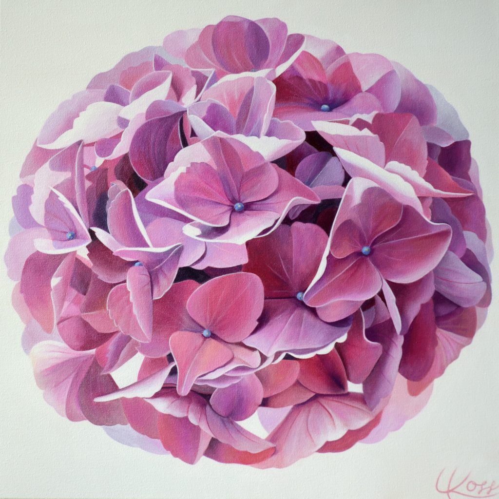Hydrangea 1 | 24x24 acrylic on canvas by Canadian Artist, Laurie Koss who is known for her big flower (macro floral) paintings in neutral tones.
