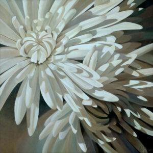 Mum 8 | 36x36 acrylic on canvas by Canadian Artist, Laurie Koss who is known for her big flower (macro floral) paintings in neutral tones.