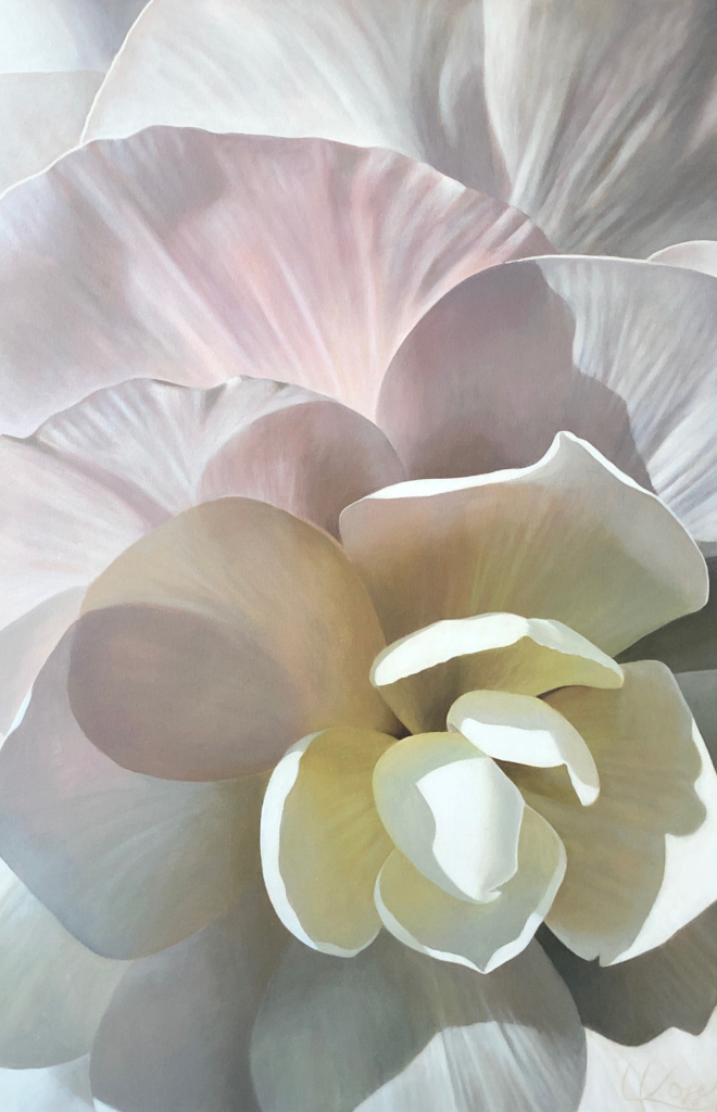 Close up painting of a white begonia flower with a soft pink and yellow centre