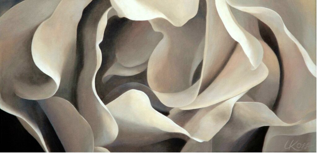 Rose 1 | 15x30 acrylic on canvas by Canadian Artist, Laurie Koss who is known for her big flower (macro floral) paintings.