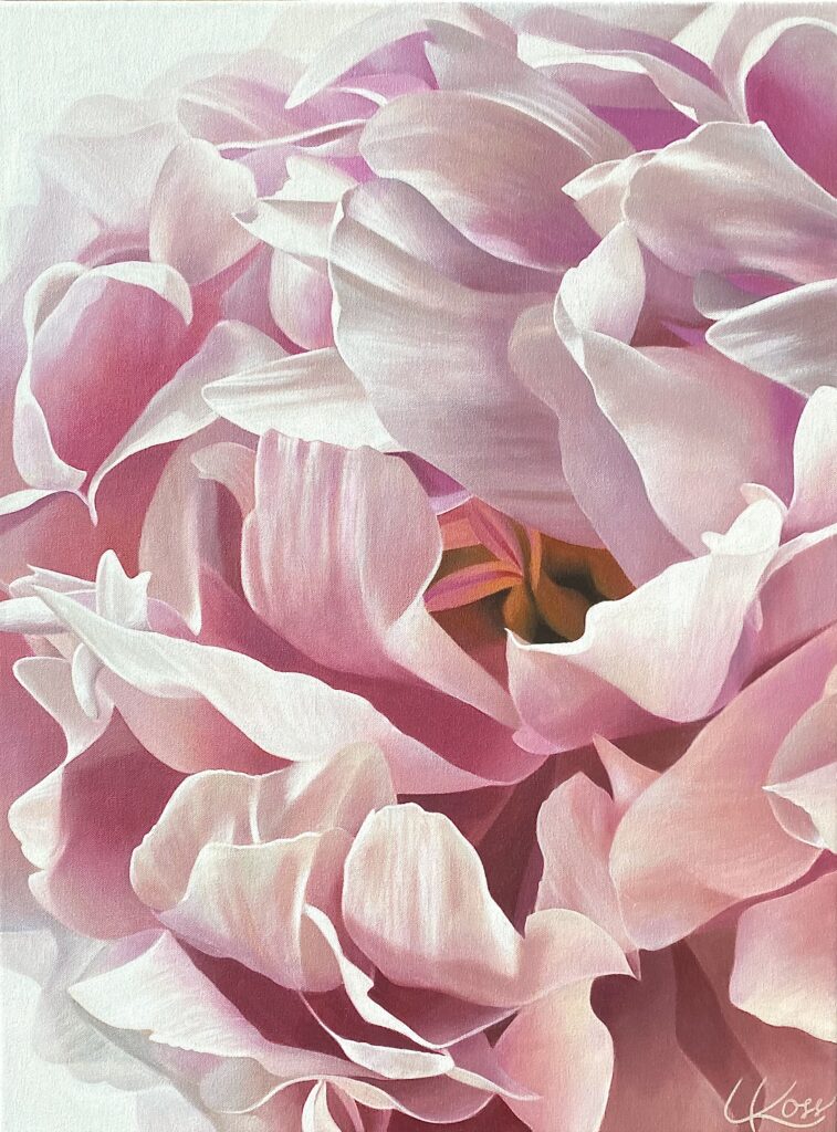 Peony 5 | 24x18 acrylic on canvas by Canadian Artist, Laurie Koss who is known for her big flower (macro floral) paintings.
