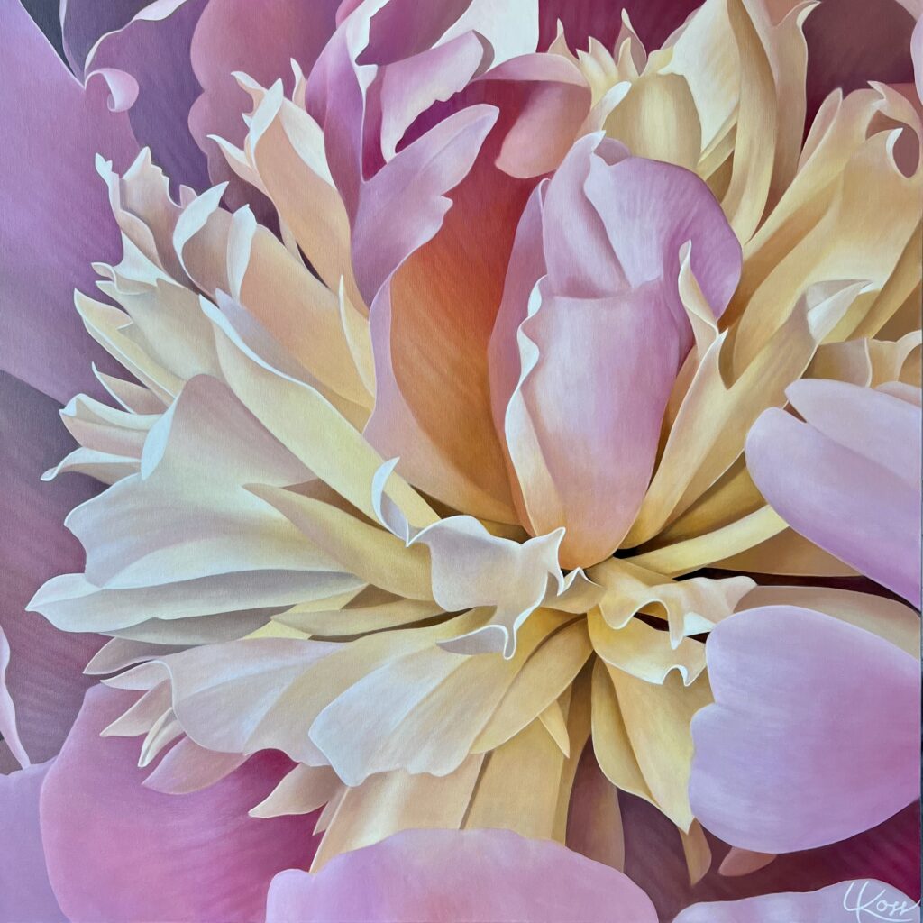Peony 6 | 36x36 acrylic on canvas by Canadian Artist, Laurie Koss who is known for her big flower (macro floral) paintings.