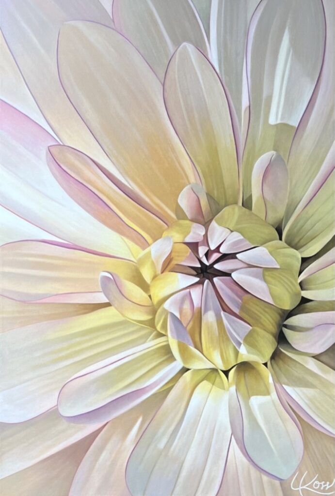 Dahlia 9 | 36x24 acrylic on canvas by Canadian Artist, Laurie Koss who is known for her big flower (macro floral) paintings.