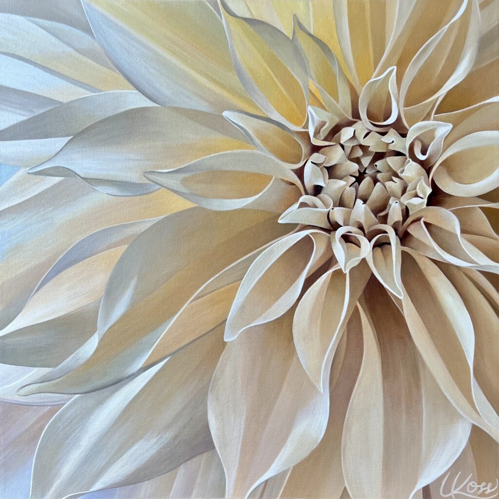 Dahlia 10 | 24x24 acrylic on canvas by Canadian Artist, Laurie Koss who is known for her big flower (macro floral) paintings.