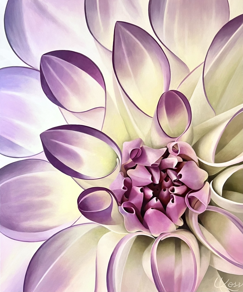 A close up painting of a bright dahlia in magenta and pale green tones